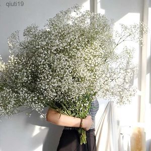 Fleurs séchées Fleurs de gypsophile séchées naturelles Branches de souffle de bébé pour la décoration de mariage Bouquets de bricolage Cadeau Floral Home Decor Arrangement R230720