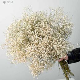 Fleurs séchées Souffle de bébé frais naturel Fleurs séchées conservées Gypsophila paniculata Bouquets de fleurs pour la décoration de mariage cadeau Saint Valentin R230720