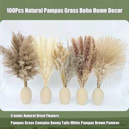 Gedroogde bloemen Pampas Gras Home Decor Natural Drooged Flowers Bunny Tails Diy Boho Wedding Arch Arrangement Farmhouse Badkamer Decoratie