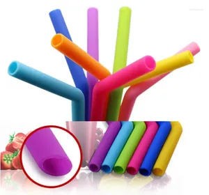 Paies à boire 100set DHL 6PCS / SET SILICONE RÉUSABLE SILICONE COLORFE COLORFE avec brosse de nettoyage SN2992