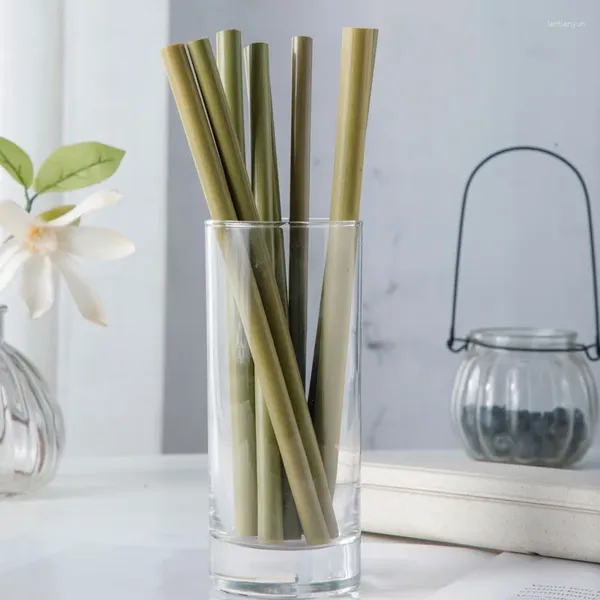 Paquete de pajitas para beber de 10 pajitas de bambú reutilizables con cepillo de limpieza accesorios de fiesta de barra Natural ecológicos
