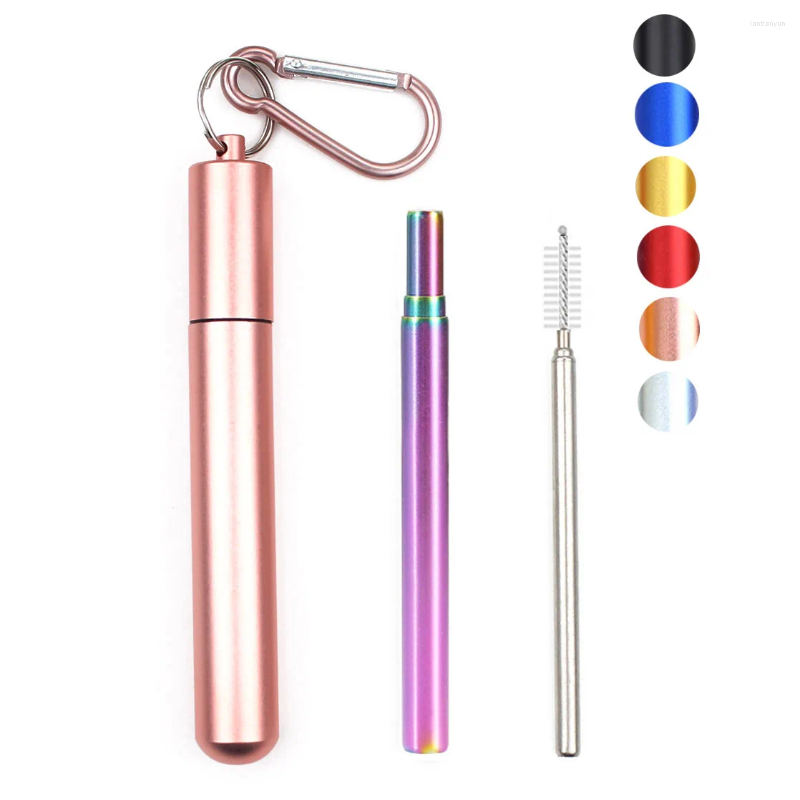 Drinking Straws Reusable Stainless Steel With Aluminum Keychain Case Cleaning Brush Collapsible Portable