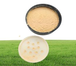 Drop Sell Brand Ben Nye Luxury Powder Pouder de Luxe Banana Loose Powder 3oz85G8922633