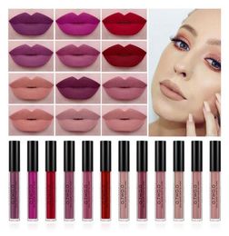 Drop schip OTWO O Matt Vloeibare Lipgloss Make-Up Langdurige Waterdichte Lip Make up Fluwelen Matte Vloeibare Lipstick Gloss 12pslot3417227