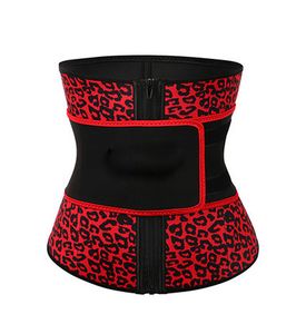 Premium Neopreen Taille Trainer Corset Cincher Tummy Straps Fitness Sauna Zweet Riemen Afslanken Body Shaper voor Vrouwen Beauty Sterke Beeldhouwen Shapewear