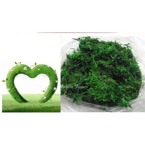 Seco 100 g/bolsa verde mantener musgo plantas decorativas reales florero césped Artificial flores de seda accesorios para maceta decoración de jardín