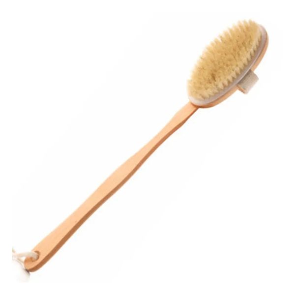 Brosse pour le corps pour peau sèche avec longue poignée antidérapante amovible Brosse de bain-douche à poils 100 % naturels Exfoliation de la circulation sanguine Cepillo Corporal Para Piel Seca