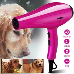Sèche-linge Handheld Pet Hair Dryer Dog Chat Mute Hails Dryer Séchon