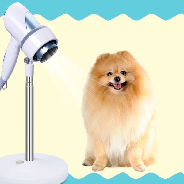 Sèche-linge Sécheur pour animaux de compagnie Hair Sèche-caisse support de sol pour chiens de toilettage Cat Blower Bracket Soporte Para Secador de Pelo Perro