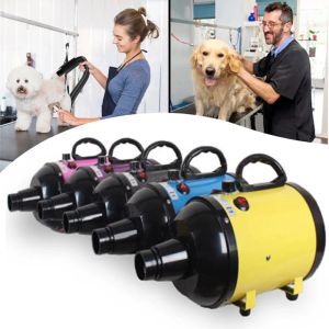 Dryer Pet Hair Dryer voor honden Pet Dog Cat verzorgingsblazer Warm Wind snel föhn voor kleine medium grote hondendroger Laaggeluid 2600W