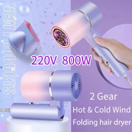 Séchants 220V 800W Sécheur de cheveux pliable Appareil de soins capillaires électriques Hot Cold Coil Dryer Dryer Momening Appareils Electric Hair Blower