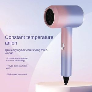 Drogers High Power Hair Dryer constante temperatuur negatieve ionen huishoudelijk haarverzorging dempen