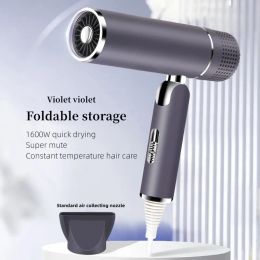 Sèche-cheveux professionnel 1600w, haute puissance, séchage rapide, ions négatifs, pliable, Portable, pour Salon de coiffure domestique, type de sèche-cheveux