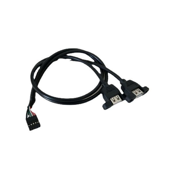 Adaptateur de montage sur panneau femelle double USB type A vers câble d'extension Dupont USB 9 broches peut être fixé avec des vis pour châssis PC 50 cm