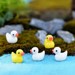 Duck Gnome Miniature Figurines Fairy Garden Decoratie 5 kleuren Cactus Succulente Planter Accessoire Micro Landschap Aquarium Waterscape DH8557