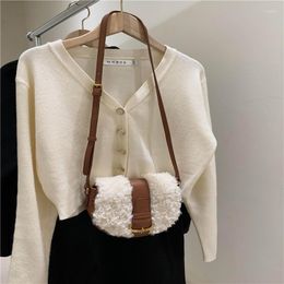 Duffel Bags 2023 Herfst- en wintermodellen Dames Purry Lamb Hair One-Shoulder Messenger Bag Cosmetic Fur Handtas