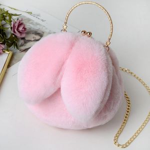 Sacs polochons fausse fourrure sac à bandoulière en peluche dames 2022 oreille chaîne sac à main épaule Bolsos De Mujer et portefeuille sac à main