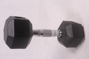 Dumbbells 10kg/pc's zeshoekige fitness plastic bedekte halter verchroomd