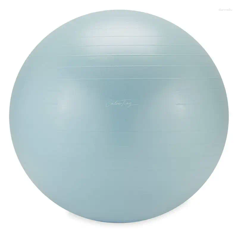 Haltères d'exercice de stabilité 65 cm bleu