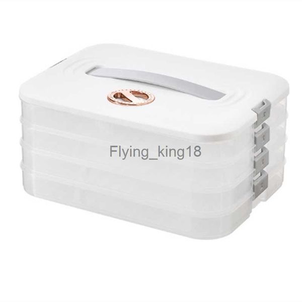 Caja de albóndigas Caja de almacenamiento Refrigerador Congelación de bolas de masa Congelación multicapa Caja de bolas de masa de congelación rápida HKD230812