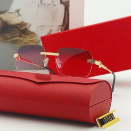 dapu modeontwerper zonnebril Goggle strandzonnebril voor man vrouw optioneel goede kwaliteit met doos
