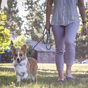 Duurzame hondenkragen aanrichting Liemen Slip touw verstelbare luskraag comfortabele riem ondersteunt de sterkste trekkende grote middelgrote honden 20220913 E3
