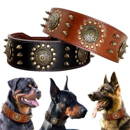 Duurzame lederen bruine halsband voor grote honden Pitbull halsbanden met puntige studs voor middelgrote grote grote honden Echt lederen halsband voor huisdieren X07032231