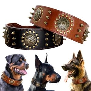 Collier en cuir marron durable pour grands chiens Pitbull, colliers cloutés à pointes pour chiens de taille moyenne et grande, collier en cuir véritable pour animaux de compagnie X07032231