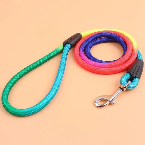 Durable Nylon Rainbow 1.2m Pet Carresh Correa de entrenamiento Correa Cats Perros Arnés Collar correa Correa de correa