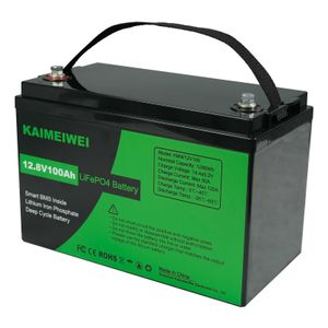 Belastingvrij ! LifePo4 Battery 12V 100Ah Lithium Iron Phosphate Battery Ingebouwde BMS voor RV House Solar Power System