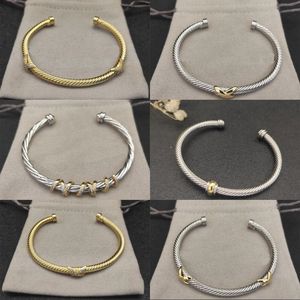 Dy Bracelet Designer modieuze gedraaide kabelbarnalen voor vrouwen sieraden vintage strass head populaire manchet vergulde gouden luxe armband heren zl123 b4