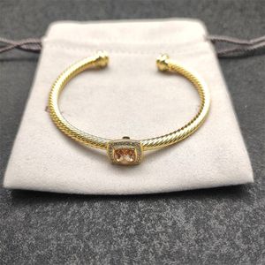 Dy designer armbanden vergulde gouden sieraden vrouw luxe armbanden trendy herenmode nieuwe retro armbanden Valentijnsdag huwelijkscadeaus zh156 E4