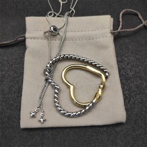 Dy hart liefde designer ketting voor vrouwen mannen vergulde zilveren gouden ketting luxe ketting bijoux collier grote groen blauwe edelsteen zh143 F4