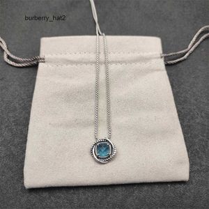 Dy hanger designer ketting voor vrouw hoogwaardige diamantheren sieraden ketting eenvoudige verstelbare lange ketting trendy accessoires