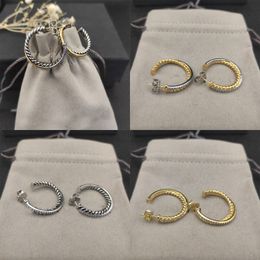 DY retro designer oorbellen kabel draad sieraden oorbellen ontwerper dubbele gedraaide oorbellen voor vrouwen trendy verzilverde accessoires sieraden zh160 b4