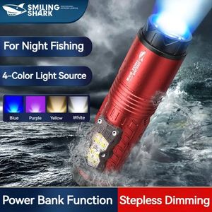 DY3039 Lampe de pêche de nuit, torche LED haute luminosité, lampe torche rechargeable zoomable avec fonction de capteur de banque d'alimentation pour la pêche de nuit en plein air en montagne