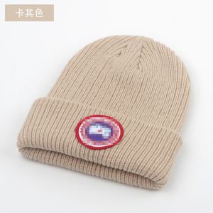 E-commerce voor herfst en winter heren gebreide hoed vrije tijd sport wollen hoed pony borduurwerk joker koude hoed warme hoed.