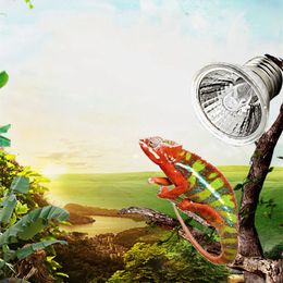 E27 220V UVA UVB 3.0 Reptiellamp Bulb Turtle koesteren UV gloeilampen Verwarmingslamp Amfibieën Hagedissen Turtle Light 25W 50W 75W