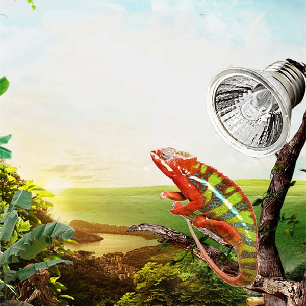 E27 220V UVA UVB 3.0 Reptile Lampe Bulbe Turtle Planant les ampoules UV Bamps de chauffage Amphibiens Lézards Light Light 25W 50W 75W