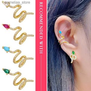 InicioCentro de productosOrejeras de serpiente de cristal CZClips perforados en orejeras para mujerClips de oreja doradosVE285 Y240326