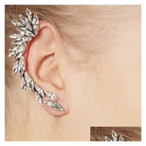 Couchette d'oreille Fashion européenne Punk Ménisque Boucles d'oreilles Valeur Plume acrylique de haute qualité avec des femmes bijoux en gros de livraison DH1MR