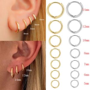 Oorbellen 18G kleine hoepel oorbellen voor vrouwen kleine kraakbeen helix daith tragus huggie oorbellen voor mannen doordringende sieraden slaperige oorhoepels