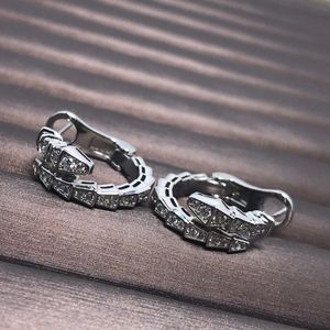 18k gouden oorbellen Snake Design Studs Sieraden Hoop Oording Geometrie Studs Silver Buds Earing veelzijdige oor sieraden 2 kleur hoepels liefhebber prachtige geschenken sets doos