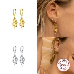 Boucles d'oreilles aide argent diverses boucles d'oreilles de serpent zircon pour femme amant bijourie cadeau animal cercle boucle oreille 230831