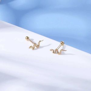 Oorbellen Paar Punk Snake Stud Earring For Women Men Rose Gold Golde oorbellen Helixconch Kraakbeen Vintage Piercings 230831