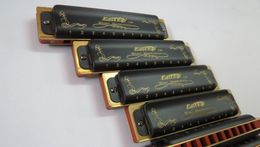 EASTTOP blues harp mondharmonica T008K 12 toetsen set muziek metal harmonica diatonische zwarte covers6166775