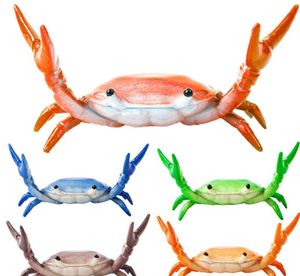 Gemakkelijk om nuttige gewichtheffende krabbenhouder te houden Holder Felle kleur krabbenhouder simulatie voor studenten