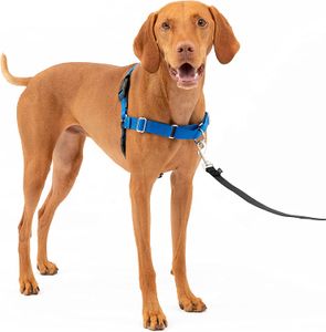 Harnais pour chien Easy Walk No-Pull – Le harnais ultime pour aider à arrêter de tirer – Prenez le contrôle, enseignez de meilleures manières de laisse – Aide à empêcher les animaux de compagnie de tirer sur les promenades.