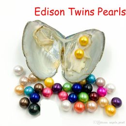 Edison Twins Pearl Oyster 2020 Round 9-12mm 16 mélanges de couleurs Naturel d'eau douce cultivé dans l'huître fraîche Pearl Mussel Farm Supply Livraison gratuite