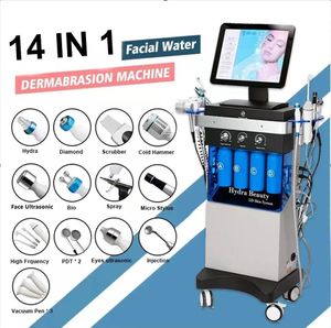 Effectif 15 IN1 Hydra Machine faciale CARE SUR LECTURE Micro Dermabrasion RF Face Levant Diamond Peeling Water Jet Aqua Rébarbantement